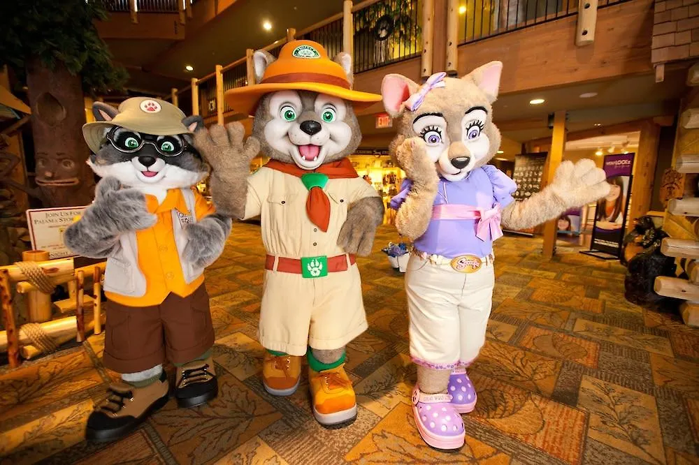 Great Wolf Lodge Concord